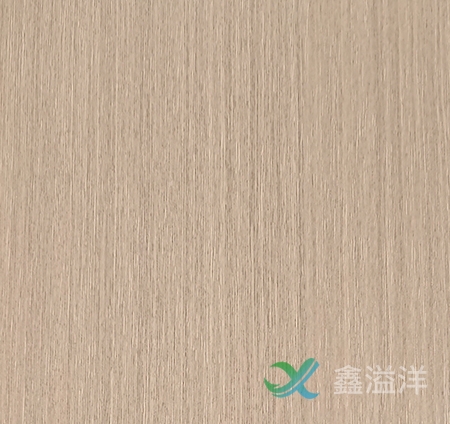 米兰app官方入口在哪里看21906-C6
